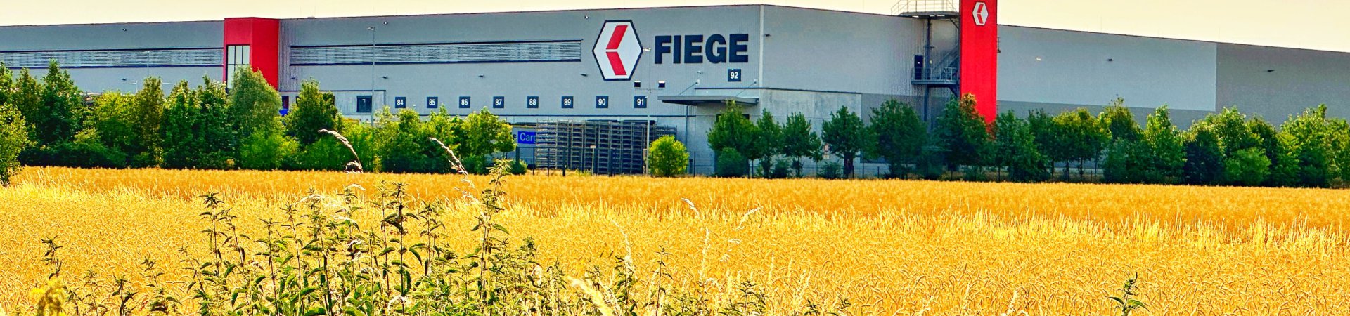 Fiege Dieburg